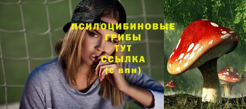 дарк нет какой сайт  Канск  Псилоцибиновые грибы Magic Shrooms 